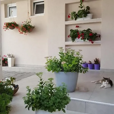 Lovely Private Flats Free Parking