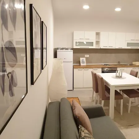 Lovely Private Flats Free Parking * Novi Sad